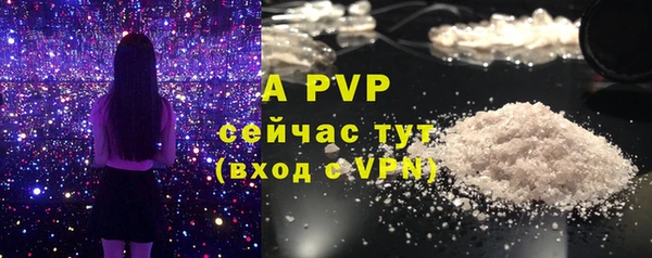 дживик Каменногорск