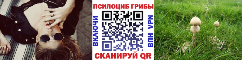 Галлюциногенные грибы мухоморы  Кириллов 