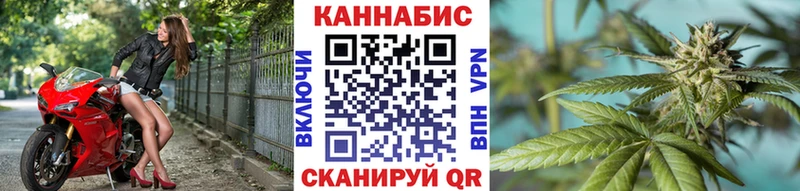 купить сайты Кириллов Шишки марихуана сатива